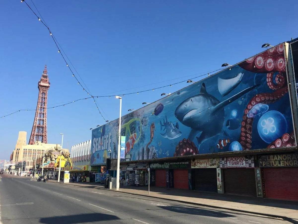 Bamber House - Large Modern Home & Perfect Location Blackpool United Kingdom